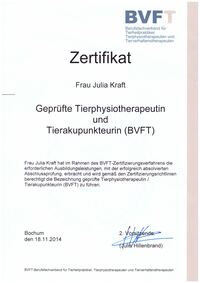 3_Tierphysio_BVFT
